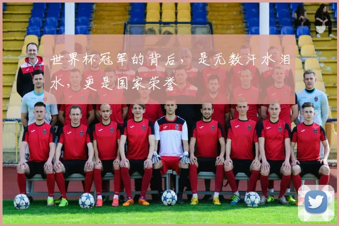 世界杯冠军的背后，是无数汗水泪水，更是国家荣誉